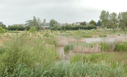 Module 3 – Les stratégies d’aménagement pour réduire les risques liés aux inondations dans les milieux de vie